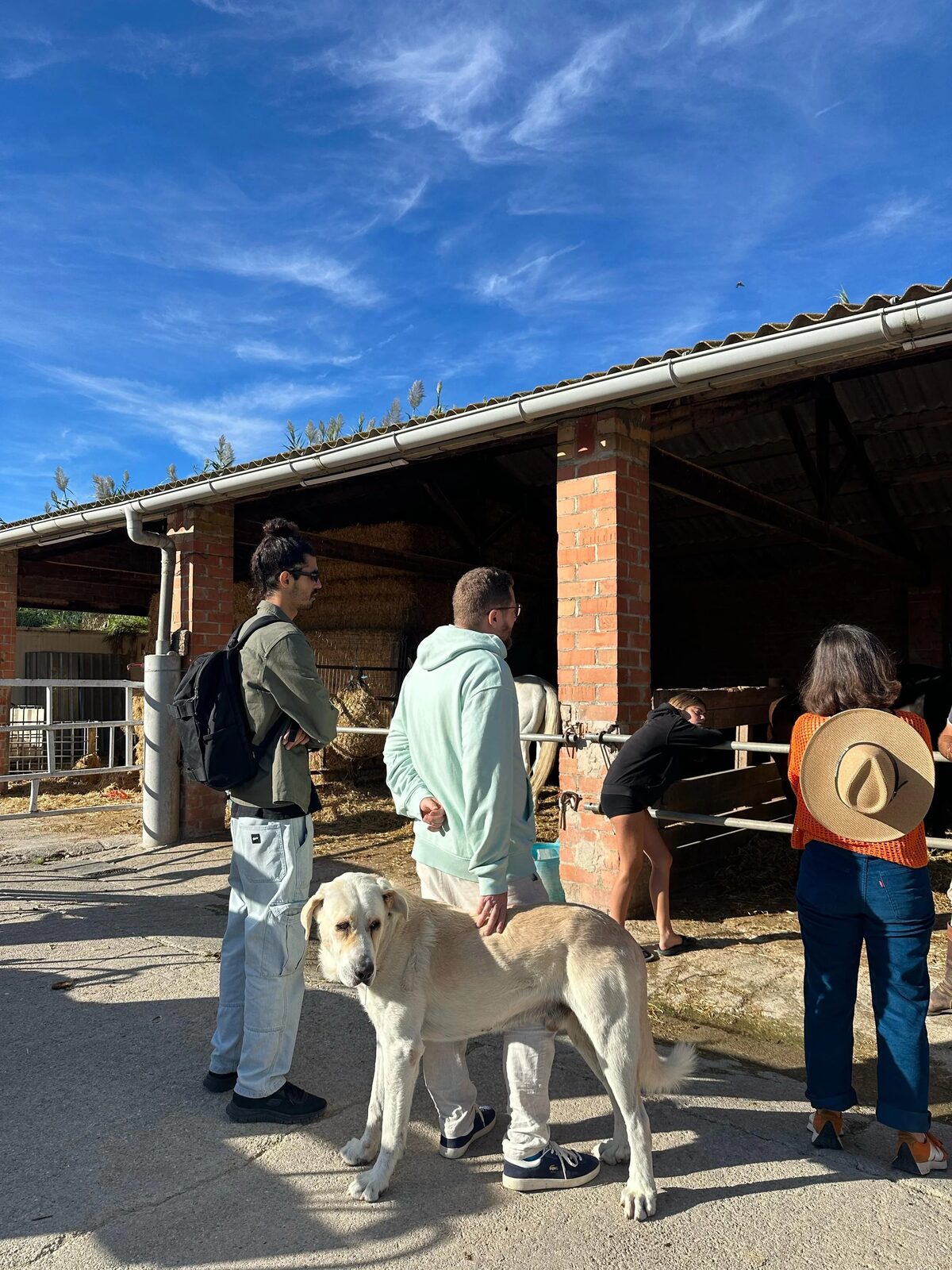Visita en grupo a una finca con perro