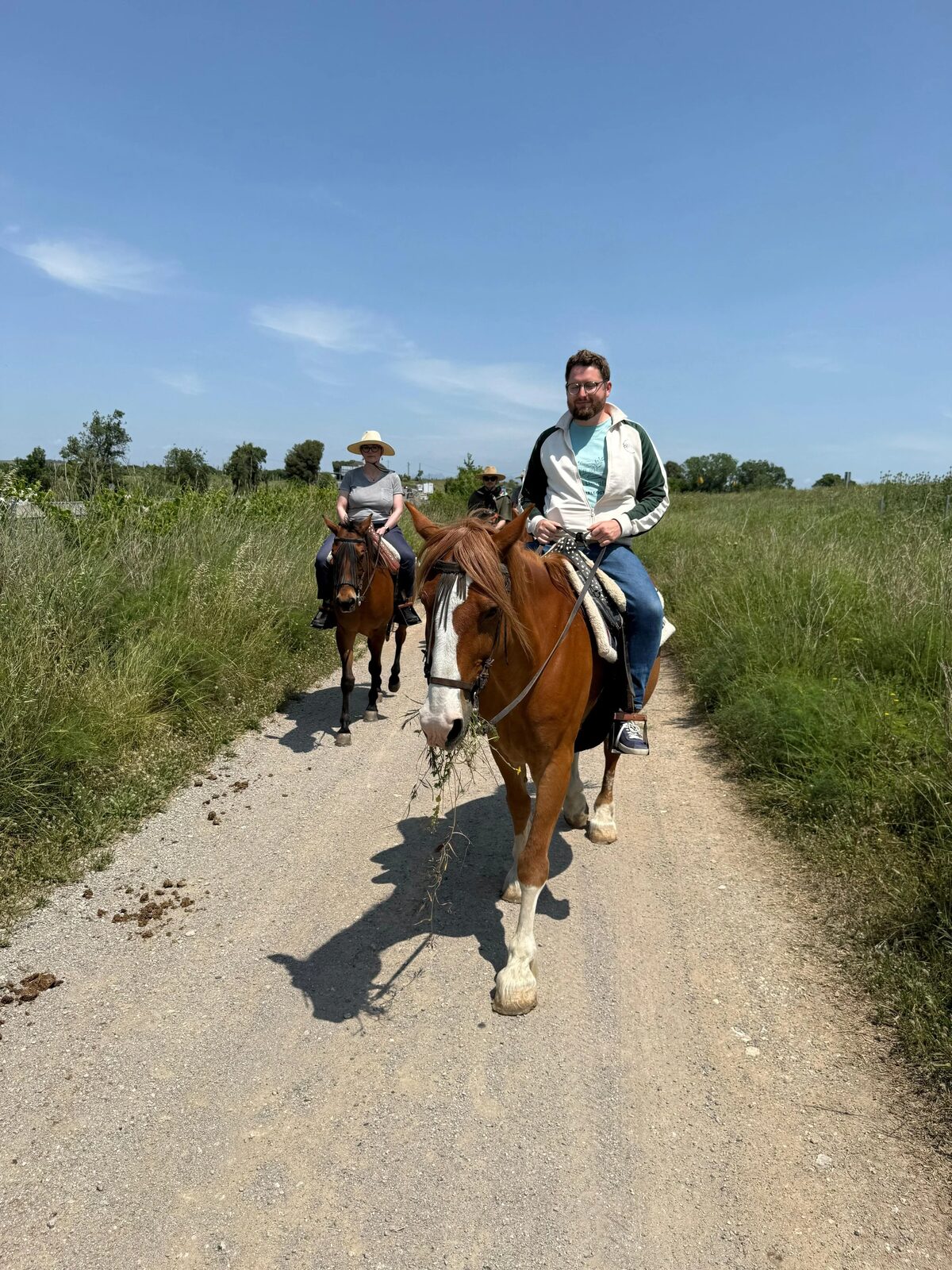 Paseo a caballo por un camino entre campos